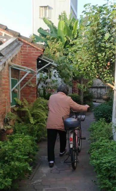 安平區的城市角落處