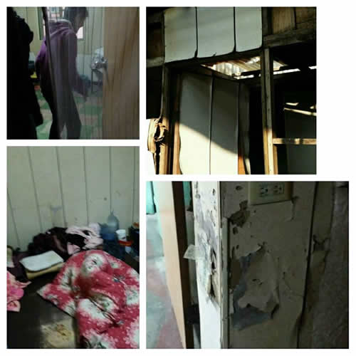 紗門破了一大塊，用廣告紙補上，阻擋蚊蟲跟寒風的侵入。