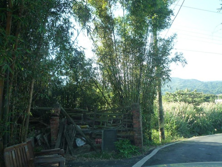 原來在這不屬於自己的土地上所蓋的"土角厝"，裡面的男主人從小就罹患小兒麻痺