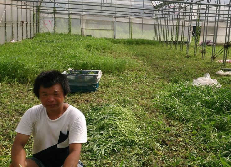 他們一直問他究竟想去哪裡？ 他含糊說著：「教會．．」