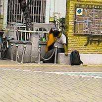 台南火車站邊的角落，他在這個位置一停就超過數年。只有下雨的時候會到前面地下道躲雨，或者小睡一會兒。