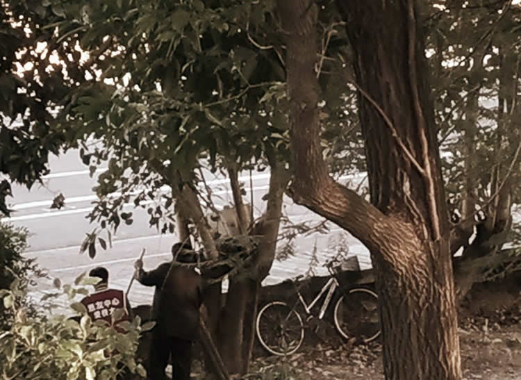 寒冷的季節，晚上就寢之前，我的同工弟兄們特別喜歡跟我說說話。