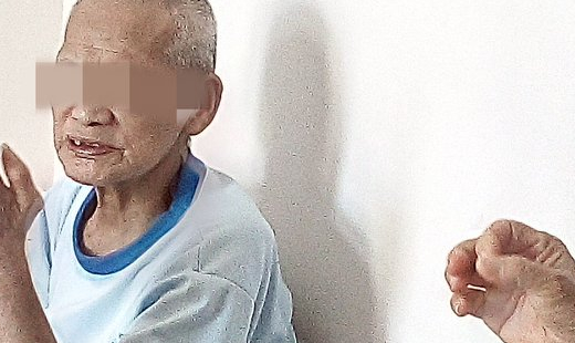 探望劉嬤嬤與張老先生