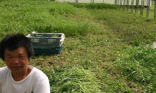 他們一直問他究竟想去哪裡？ 他含糊說著：「教會．．」